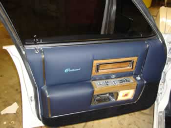 Caddy door panel